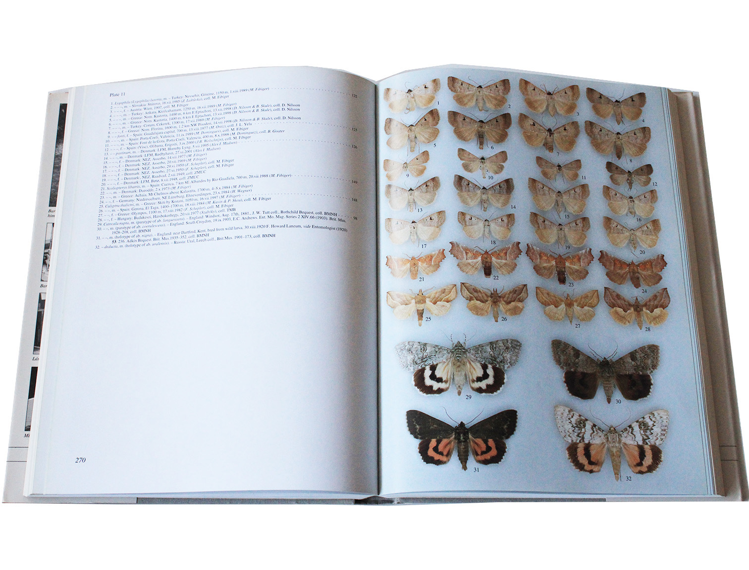 noctuidae europaeae vol.10.1